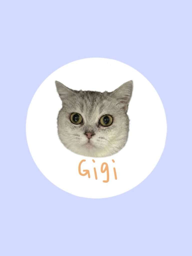Meet Gigi!