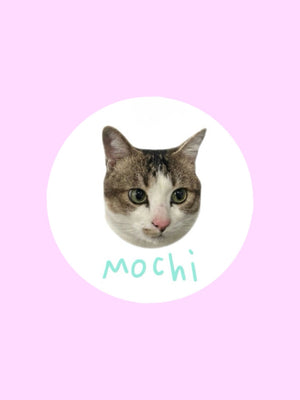 Meet Mochi！
