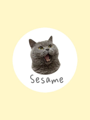 Meet Sesame!