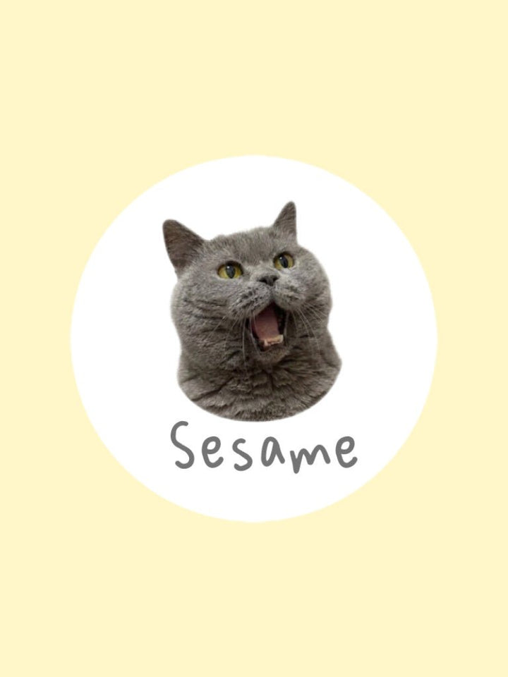 セサミと申します！