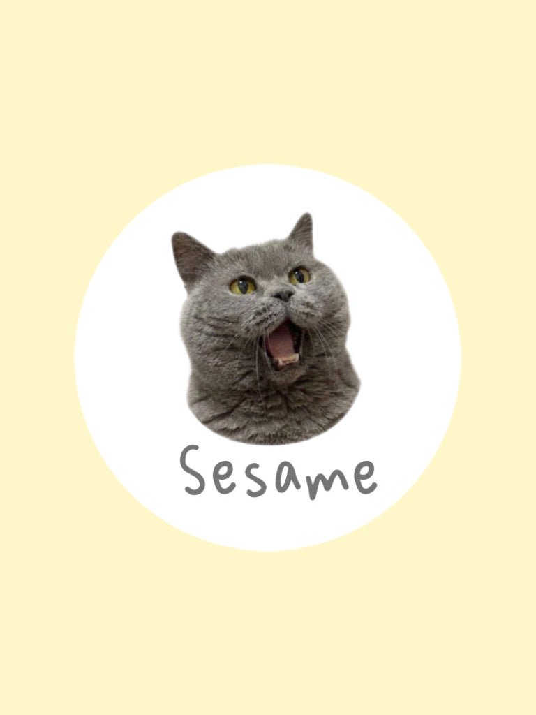 Meet Sesame!