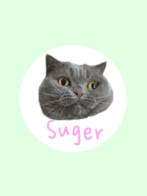 Meet Suger!
