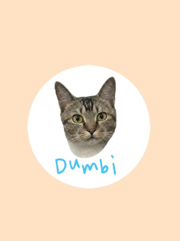 Meet Dumbi 👑