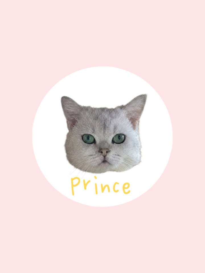 Meet Prince! 👑