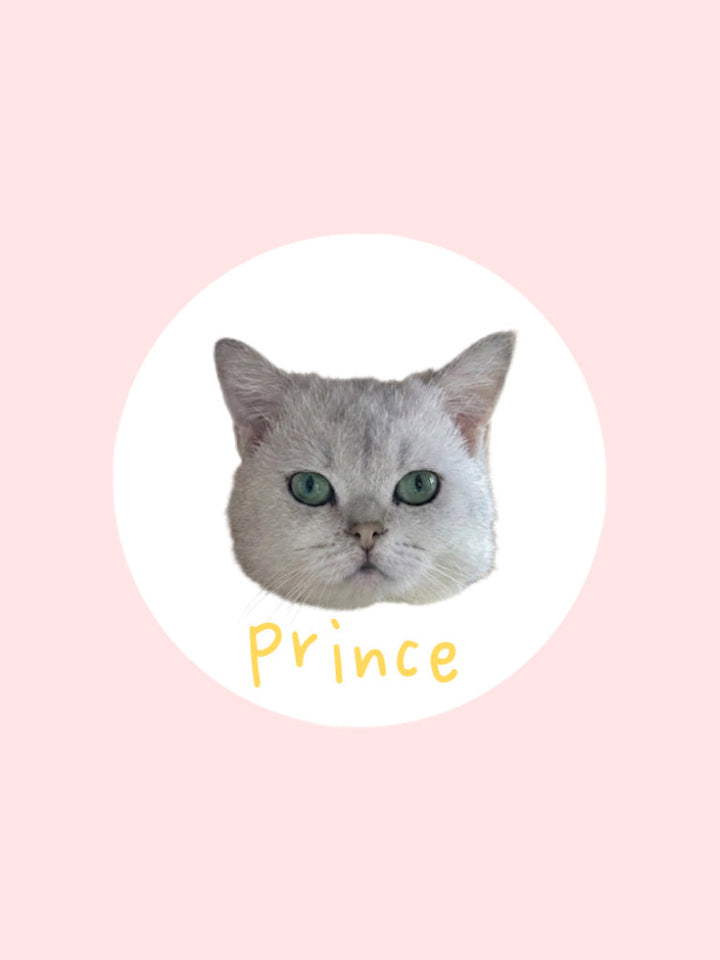 Découvrez Prince ! 👑