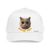 Custom Cat Baseball Cap, Personalized Summer Cat Hat with Sunglasses, Cute Pet Lover Gift