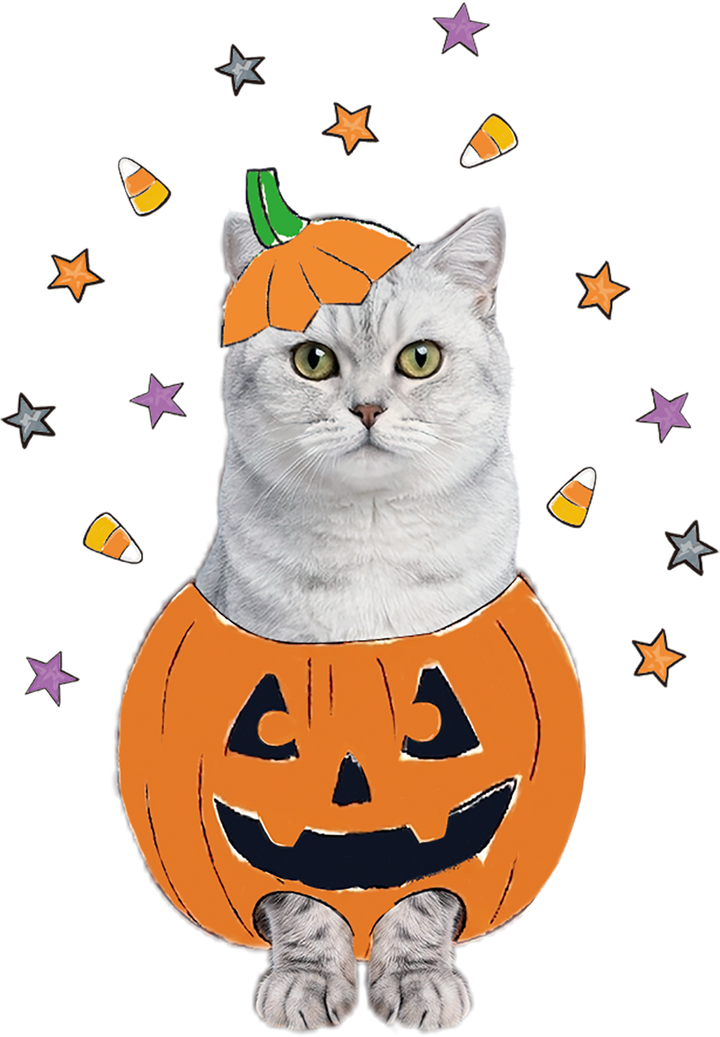 Your Spooky Pet