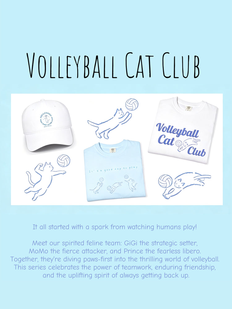 Volleyball Katzenclub